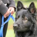 ne-boersch-2014-161