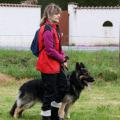 16 - Copie