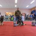IMG_7948 - Copie