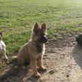 ioleen-3-mois-065