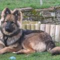 ioleen-Malou-28-mars14-005