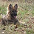 ioleen-et-Malou-20-janvier-2014-019