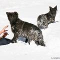 06022015IMG_4938