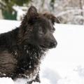 06022015IMG_4966