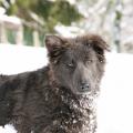 06022015IMG_4972