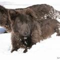 06022015IMG_5042