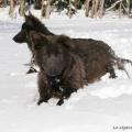 06022015IMG_5044
