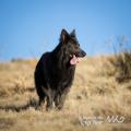 WG Photographies 2016-24