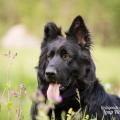 WG Photographies 2017-7