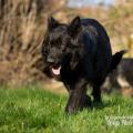 WG Photographies 2018-2