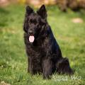 WG Photographies 2018-3