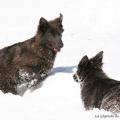 06022015IMG_4933