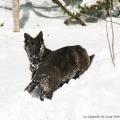 06022015IMG_4945