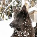 06022015IMG_5025