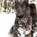 06022015IMG_5030