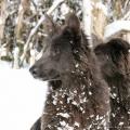 06022015IMG_5037
