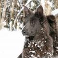 06022015IMG_5038