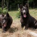 13072015-IMG_5824