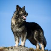 Guillaume Wentzel Photographe 2019-10