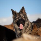 IMG_4258
