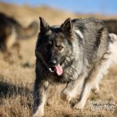 WG Photographies 2016-12