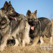 WG Photographies 2016-35