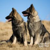 WG Photographies 2016-40