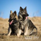 WG Photographies 2016-41