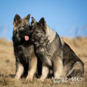WG Photographies 2016-43