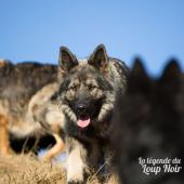 WG Photographies 2016-52