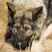 WG Photographies 2016-53