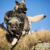 WG Photographies 2016-55