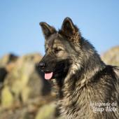 WG Photographies 2016-79