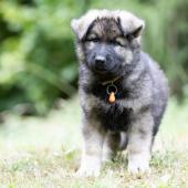 A89A6701