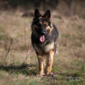 Arwen 7 sem-28