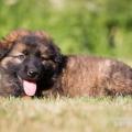 WG Photographies-33