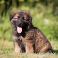 WG Photographies-34