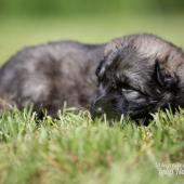 WG Photographies 2017-12