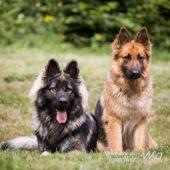 WG Photographies 2018-3