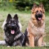 WG Photographies 2018-4