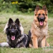 WG Photographies 2018-5