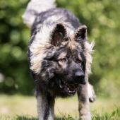 WG Photographies 2018-6