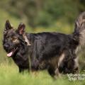 WG Photographies 2018-2