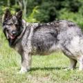 WG Photographies-10