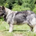 WG Photographies-11