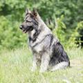 WG Photographies-12