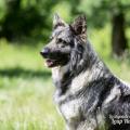 WG Photographies-2