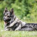 WG Photographies-3