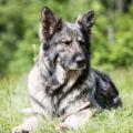 WG Photographies-7