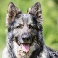 WG Photographies-8